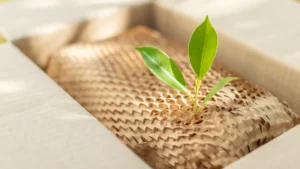 Recyclable brown paper packing materials are available to help make moving more sustainable.